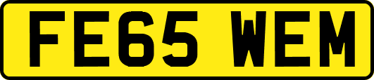 FE65WEM