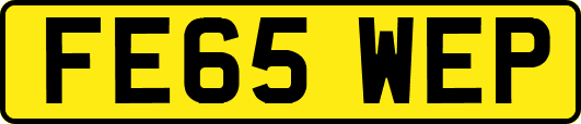FE65WEP