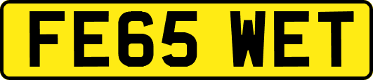 FE65WET