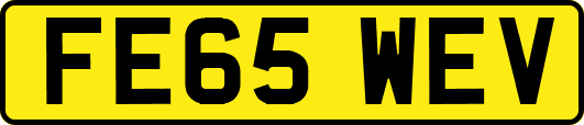 FE65WEV