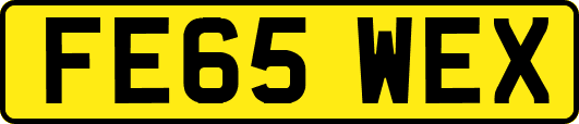FE65WEX