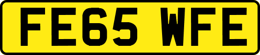 FE65WFE