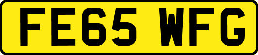 FE65WFG