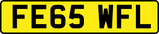 FE65WFL