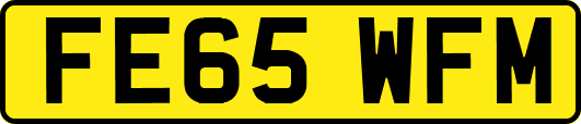 FE65WFM