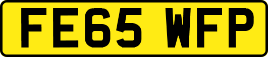 FE65WFP