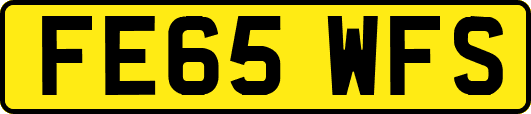 FE65WFS