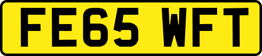 FE65WFT