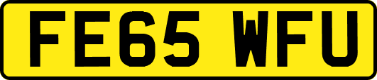 FE65WFU