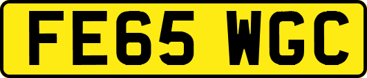 FE65WGC