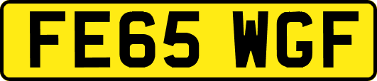FE65WGF