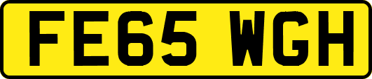 FE65WGH