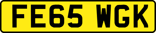 FE65WGK