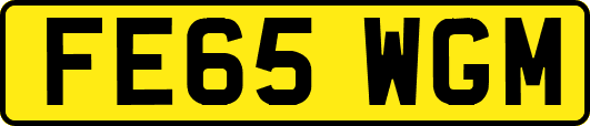 FE65WGM