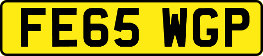 FE65WGP