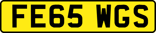 FE65WGS