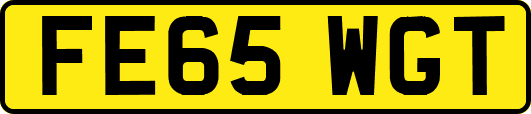 FE65WGT