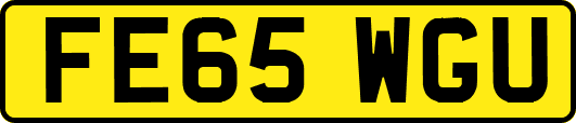 FE65WGU