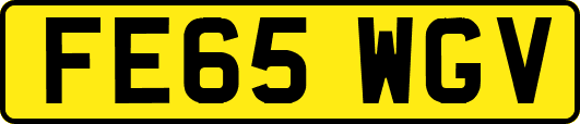 FE65WGV