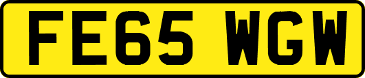 FE65WGW