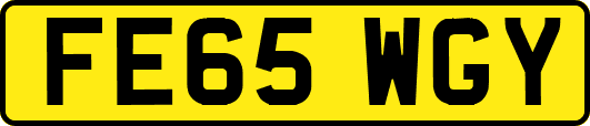 FE65WGY
