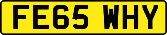 FE65WHY