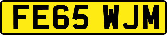 FE65WJM
