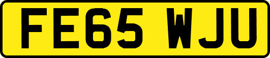 FE65WJU