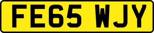 FE65WJY