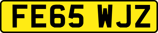 FE65WJZ