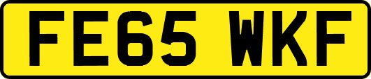 FE65WKF