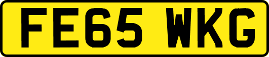 FE65WKG