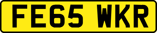 FE65WKR
