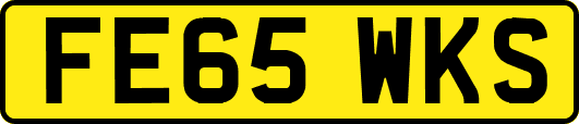 FE65WKS