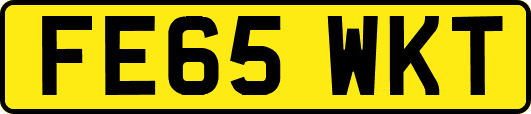 FE65WKT