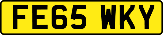 FE65WKY