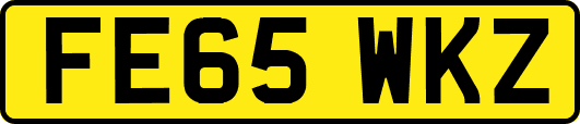 FE65WKZ