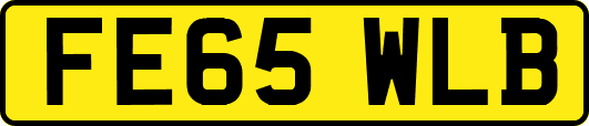 FE65WLB