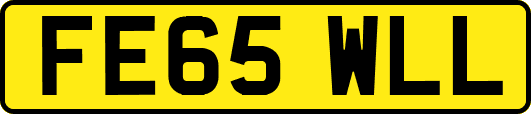 FE65WLL