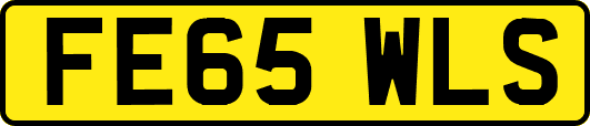FE65WLS
