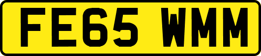 FE65WMM