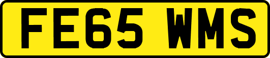 FE65WMS