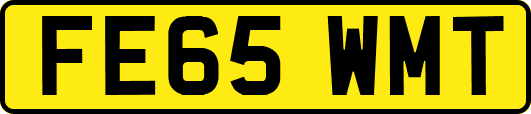 FE65WMT