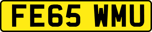 FE65WMU