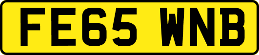 FE65WNB