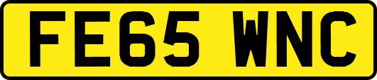 FE65WNC
