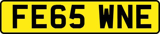 FE65WNE