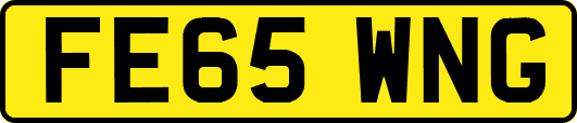 FE65WNG