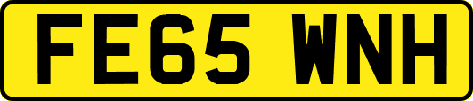 FE65WNH