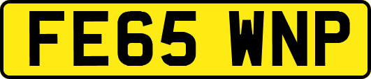FE65WNP